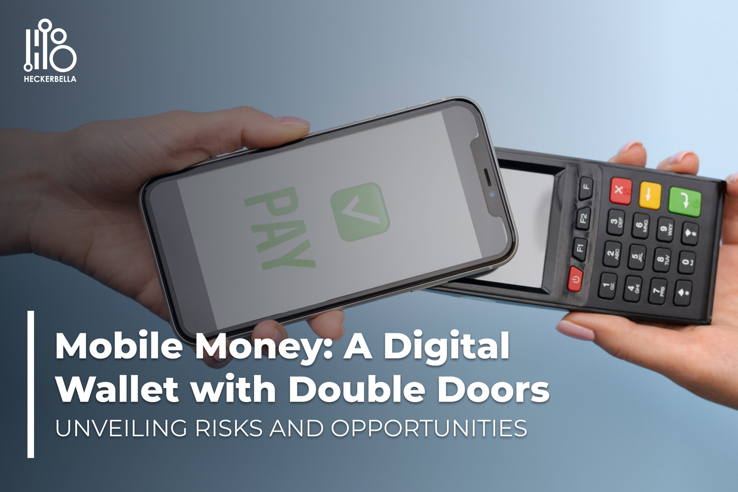 Mobile Money: A Digital Wallet with Double Doors – Unveiling Risks and Opportunities.